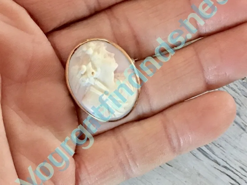 Antique Pink Conch Shell Cameo Brooch 10k Gold