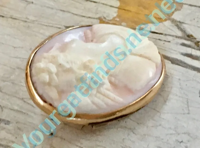 Antique Pink Conch Shell Cameo Brooch 10k Gold