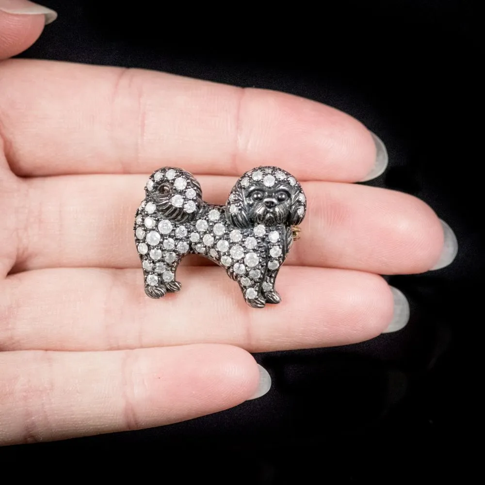 Diamond Dog Brooch 3Ct Of Diamonds Maltese Dog