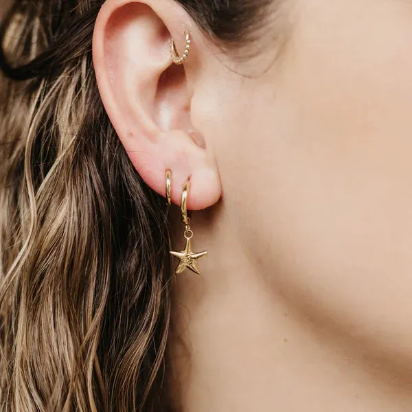 Golden Starfish Earrings